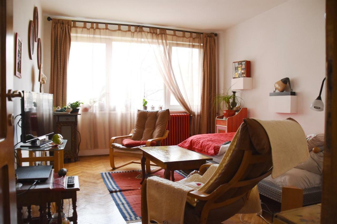 Apartament Anca Тимишоара Экстерьер фото