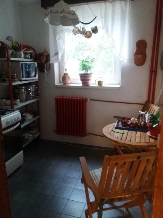 Apartament Anca Тимишоара Экстерьер фото